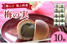 【老舗の菓子屋】築上銘菓「 梅の実 」10 個《築上町》【有限会社 御菓子司 鹿の子】 [ABAC018]