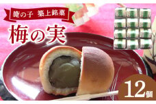 【老舗の菓子屋】築上銘菓「 梅の実 」12 個《築上町》【有限会社 御菓子司 鹿の子】 [ABAC019]