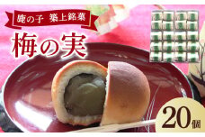 【老舗の菓子屋】築上銘菓「 梅の実 」20 個《築上町》【有限会社 御菓子司 鹿の子】 [ABAC020]