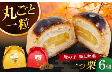 【老舗の菓子屋 鹿の子】和菓子 「一つ栗」 6個《築上町》【有限会社 御菓子司 鹿の子】 [ABAC021]