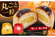 【老舗の菓子屋 鹿の子】和菓子 「一つ栗」 10個《築上町》【有限会社 御菓子司 鹿の子】 [ABAC022]