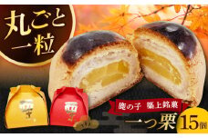 【老舗の菓子屋 鹿の子】和菓子 「一つ栗」 15個《築上町》【有限会社 御菓子司 鹿の子】 [ABAC024]