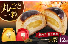【老舗の菓子屋 鹿の子】和菓子 「一つ栗」 12個《築上町》【有限会社 御菓子司 鹿の子】 [ABAC023]