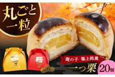 【老舗の菓子屋 鹿の子】和菓子 「一つ栗」 20個《築上町》【有限会社 御菓子司 鹿の子】 [ABAC025]