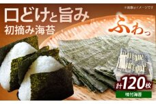 初摘み限定 福岡有明のり 味付海苔 6切5枚×24P《築上町》【株式会社木村食品(千代海苔株式会社)】海苔 のり ノリ おかず ごはん [ABEI014]