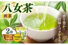【全2回定期便】八女茶煎茶 100g×2袋《築上町》【株式会社木村食品(千代海苔株式会社)】お茶 茶 緑茶 ギフト [ABEI035]