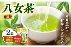 【全6回定期便】八女茶煎茶 100g×2袋《築上町》【株式会社木村食品(千代海苔株式会社)】お茶 茶 緑茶 ギフト [ABEI037]