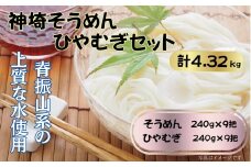 神埼そうめん・ひやむぎセット（A0801-A10）
