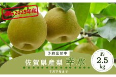 ＜令和7年7月下旬以降順次発送＞佐賀県産 梨（幸水）2.5㎏［A0127-A04］