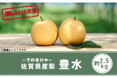 ＜先行予約受付中・令和7年8月下旬以降順次発送＞佐賀県産 梨（豊水）2.5㎏［A0129-A04］