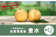 ＜令和7年8月下旬以降順次発送＞佐賀県産 梨（豊水）2.5㎏［A0129-A04］