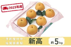 ＜先行予約受付中・令和7年9月下旬以降順次発送＞佐賀県産 梨（新高）5㎏［A0131-A04］
