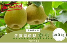 ＜令和7年7月下旬以降順次発送＞佐賀県産 梨（幸水）5.0㎏［A0128-A04］