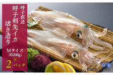【数量限定Mサイズ(約200g)×2】※無くなり次第終了！呼子剣先イカ 活き造り２パックセット［A0510-02］