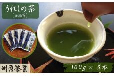 嬉野茶　１００ｇ×５本セット（A6309-08）