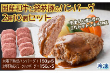 【トンネル熟成】国産和牛と銘柄豚のハンバーグ2種10個セット［A5702-A11］