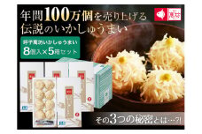 呼子萬坊いかしゅうまい8個入×5箱セット（A6004-11）