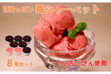【期間限定】苺そのままの甘酸っぱさ！プレミアム苺シャーベット 8個［A13735］
