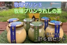 大富牧場『牧場プリン３』&『牧場プリンうれしの茶』セット［A016202］