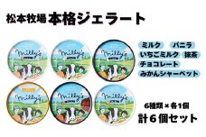 【松本牧場】本格ジェラート ミリーズ6個セット［A016601］