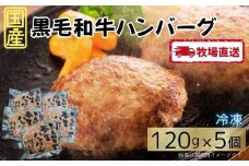 国産黒毛和牛ハンバーグ5個［A0102-0001］