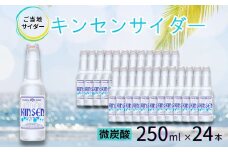【地サイダー】キンセンサイダー250ml瓶×24本［A0182-0006］