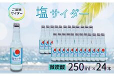 【地サイダー】塩サイダー250ml瓶×24本［A0182-0007］