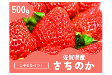 ＜先行予約受付中・令和8年2月上旬以降順次発送＞濃厚苺 さちのか 500g［A13723-04］