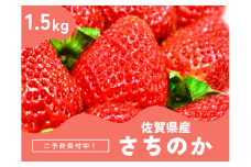 ＜先行予約受付中・令和8年2月上旬以降順次発送＞濃厚苺 さちのか 1.5kg［A13725-04］