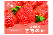 ＜先行予約受付中・令和8年2月上旬以降順次発送＞濃厚苺 さちのか 2kg［A13726-04］
