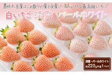 ＜先行予約受付中・令和8年1月中旬以降順次発送＞淡雪＆パールホワイト440g［A4606-04-0］