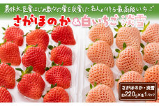 ＜先行予約受付中・令和8年1月中旬以降順次発送＞紅白いちご（淡雪・さがほのか）セット440g［A0048-0003］