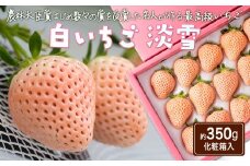 ＜先行予約受付中・令和8年1月中旬以降順次発送＞白いちご 淡雪（化粧箱入り）350g［A4604-04-0］
