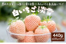 ＜先行予約受付中・令和8年1月中旬以降順次発送＞白いちご 淡雪440g［A4603-04-0］