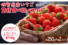 ＜先行予約受付中・令和8年3月上旬以降順次発送＞佐賀県産いちご２種食べ比べセット 計1kg（250g×各2パック）［A0176-0001］