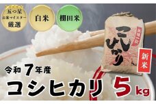 ≪令和７年産新米≫佐賀県産 コシヒカリ 白米5㎏ / 大塚米穀店［A0194-0019］