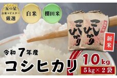 ≪令和７年産新米≫佐賀県産 コシヒカリ 白米10㎏（5㎏×2袋）/ 大塚米穀店［A0194-0020］