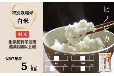 ＜令和7年産新米 先行予約受付中・令和7年11月上旬以降順次発送＞佐賀県産特別栽培米ヒノヒカリ 白米5㎏（化学肥料不使用・農薬8割以上減）［A0212-0007］
