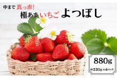 ＜先行予約受付中・令和8年1月中旬以降順次発送＞中まで真っ赤！極あまいちご「よつぼし」880g（220g×4パック）［A0212-0010］