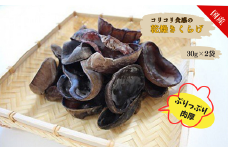 佐賀県産乾燥きくらげ２袋（手作業）：A085-003