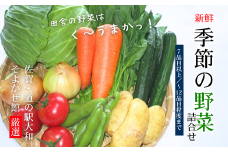 新鮮・季節の野菜詰め合わせ：B120-006