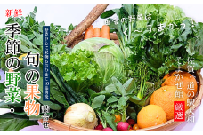 旬の野菜と果物セット：B165-002