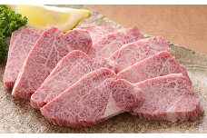 佐賀牛カルビ500g：B235-007