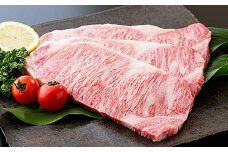 佐賀牛ロースステーキ 225g×2枚：B335-004