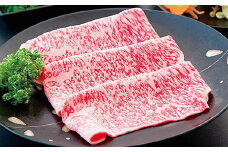 佐賀牛ステーキ＆しゃぶしゃぶセット：B825-001