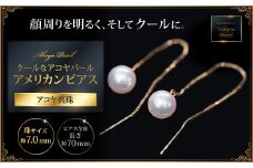 クールなアコヤパール・アメリカンピアス：C176-013