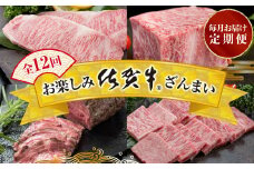 【定期便12回】お楽しみ佐賀牛ざんまい：C232-030