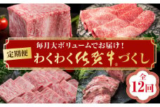 【定期便12回】わくわく佐賀牛づくし：D102-001