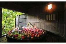 古湯・熊の川温泉　大和屋　宿泊券：C250-025
