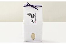 佐賀県特別栽培農産物認証！！　自然米「神の力」1㎏：B285-003